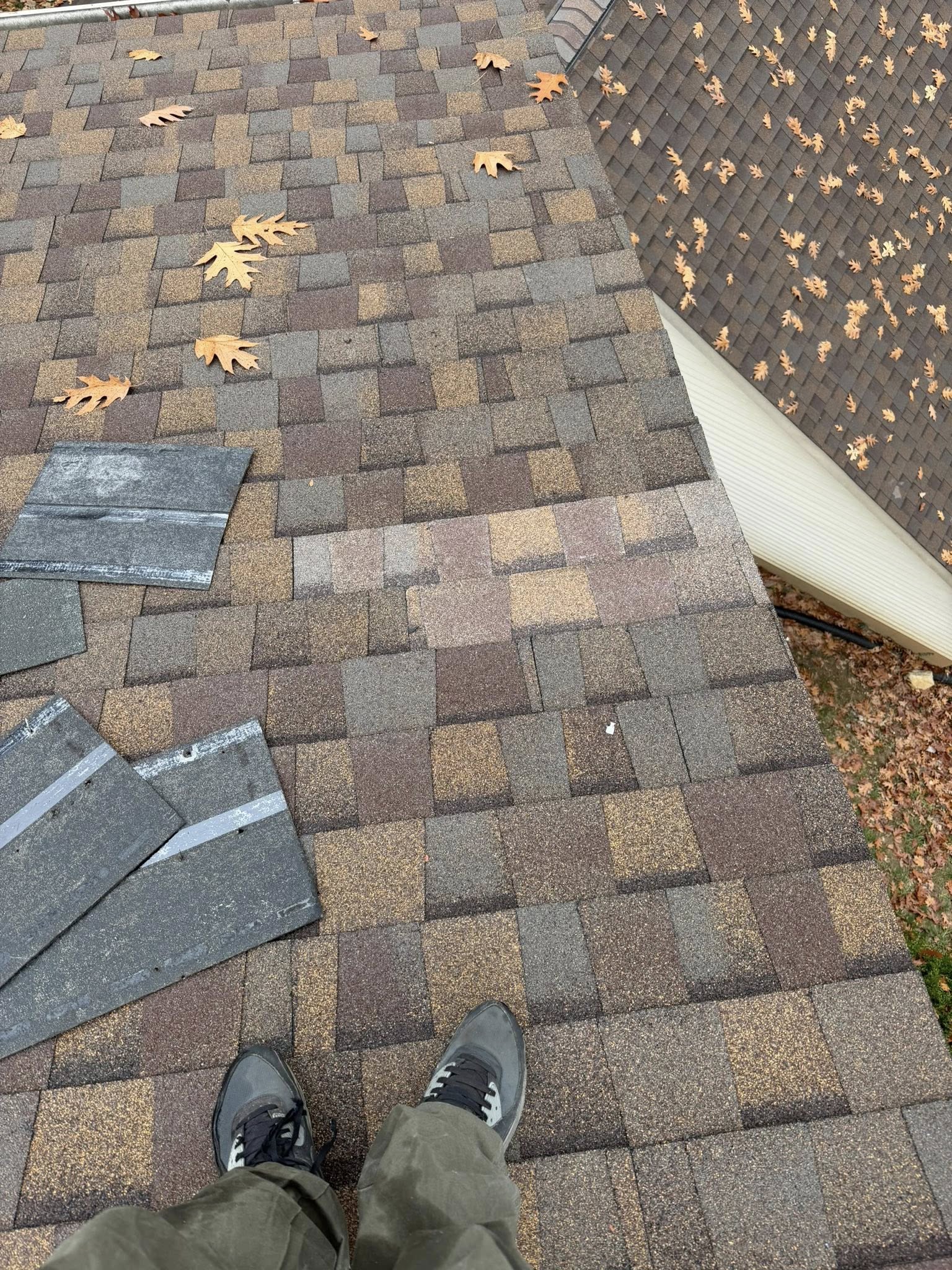 Asphalt shingle roof installation in progress with fallen autumn leaves and replacement shingles visible